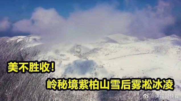 以色列加沙迎来喜讯,以军拿下加沙南部最大城市汗尤尼斯市!