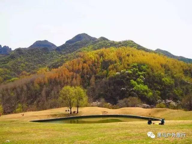 【祥龙贺岁】当代著名心理学家刘义林向全国人民拜年
